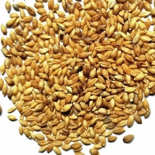 带皮白青稞原粮青藏高原特产产地直发