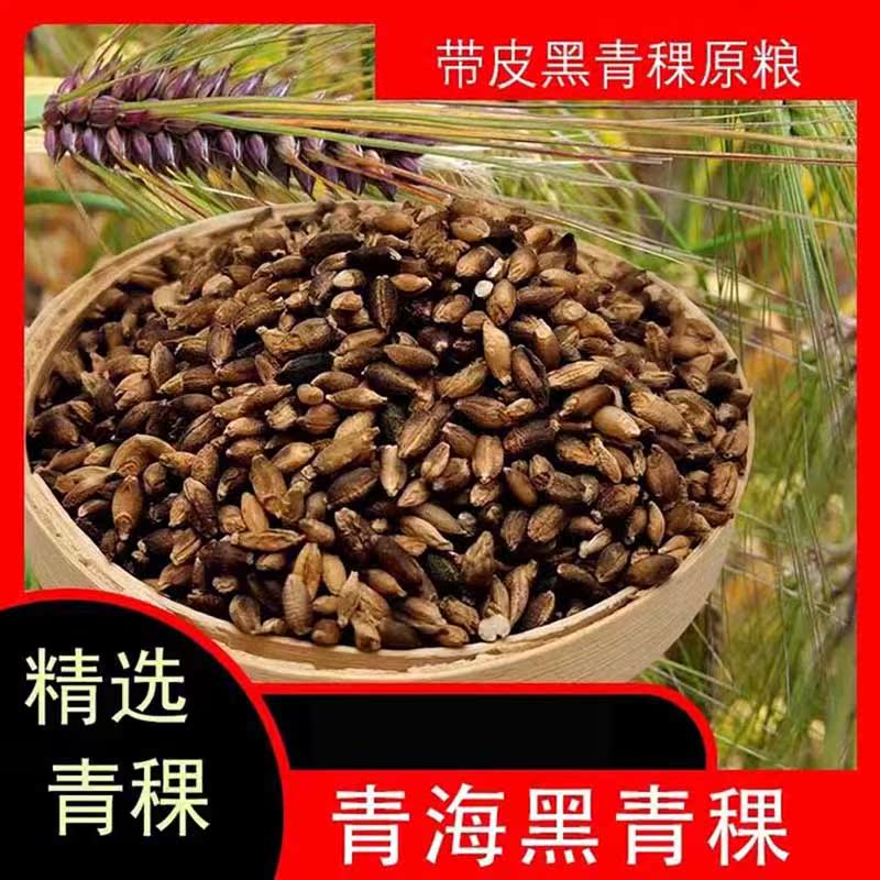 原粮带皮黑青稞青藏高原优质好货带麸皮,不是带硬壳 产地直发