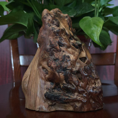 太行崖柏陈化瘤根抱石黑油摆件