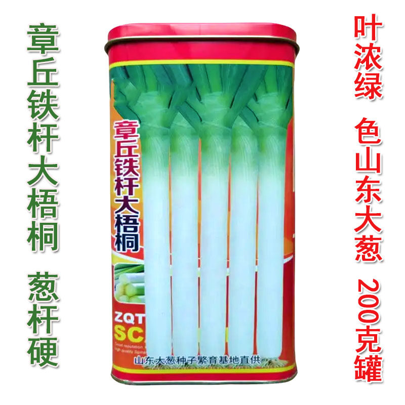 大葱种子章丘铁杆大梧桐种子批发四季大全长白条耐热耐寒基地品种