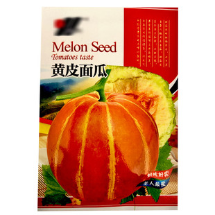 黄皮面瓜种子橙黄色红肉红瓤白籽面瓜籽老式面瓜薄皮香瓜籽大全