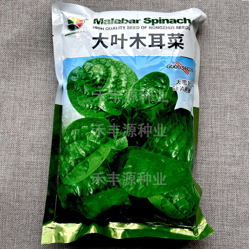 大叶木耳菜种子大圆叶木耳菜叶片肥厚500g耐抽苔多次采收四季种植