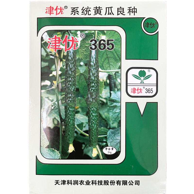 早熟抗热黄瓜种子春秋种植绿瓤