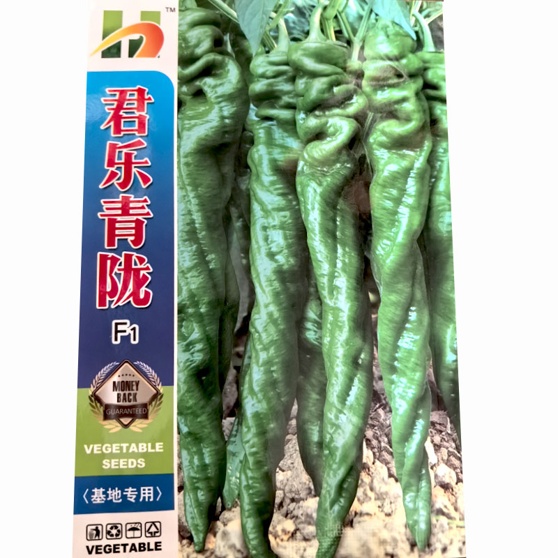 君乐青陇椒种子螺丝椒1000粒早熟褶皱羊角椒条顺直味香辣青红两用