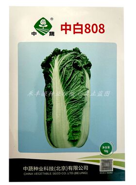 中白808大白菜种子中晚熟10g高产抗病耐储运口感甜脆抗病