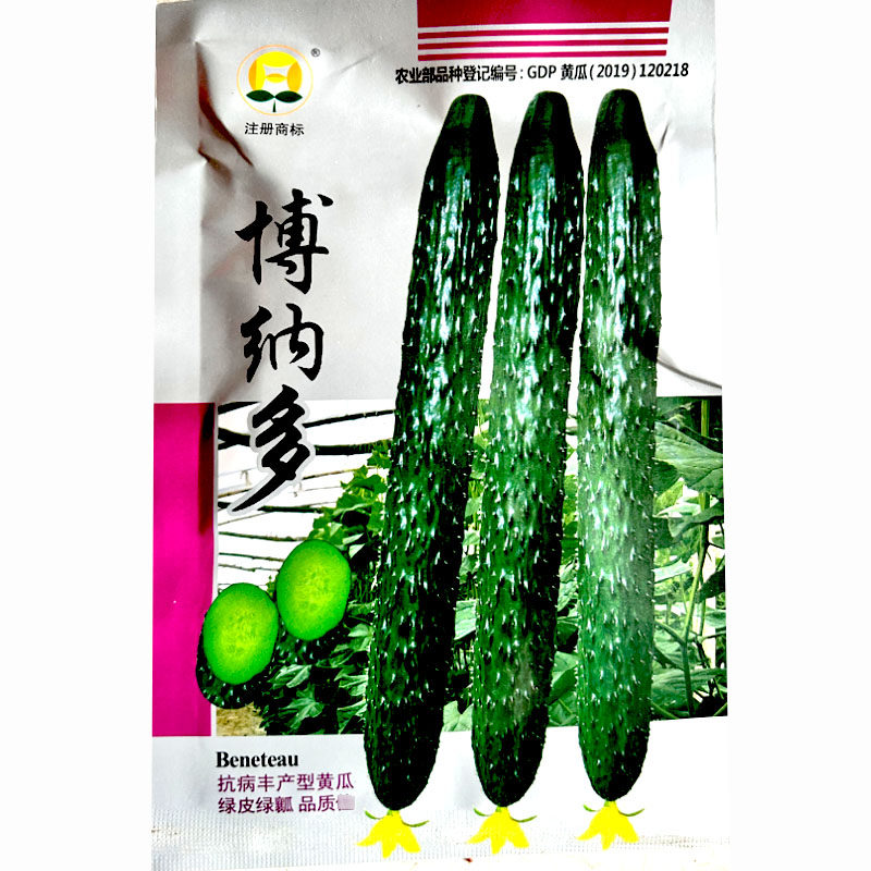 农家大田春秋季播种蔬菜种子