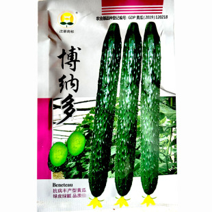 抗热黄瓜种子津瑞博纳多越夏耐高温露地大棚黑油亮青皮青肉黄瓜籽
