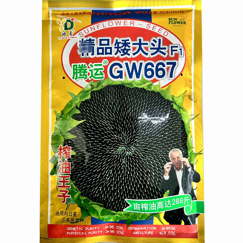 GW567/GW667油葵种子榨油食用