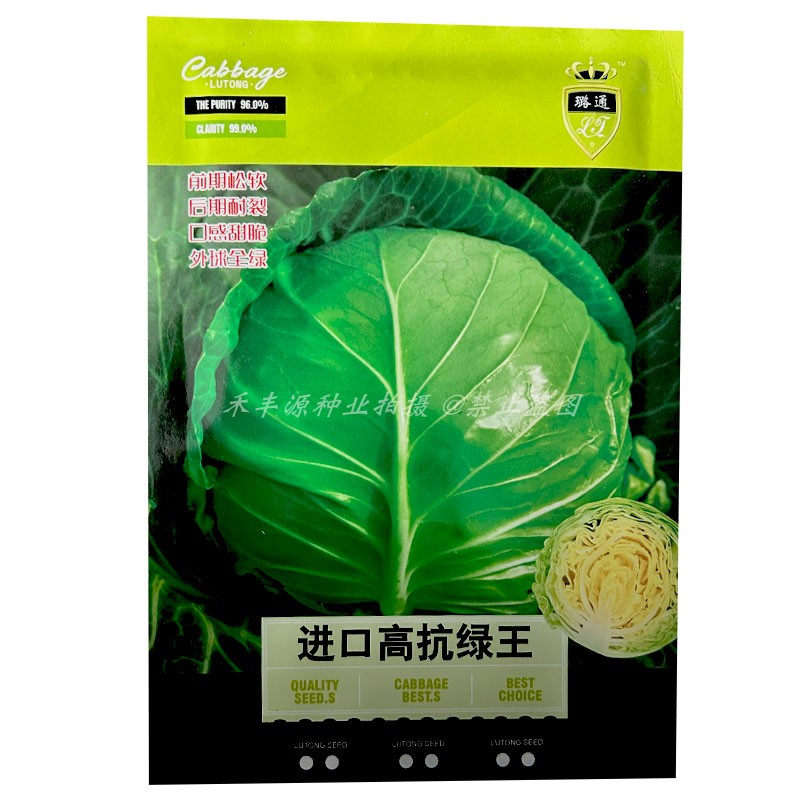 进口高抗绿王甘蓝种子口感甜脆抗病早熟圆包菜种子松软耐裂种子