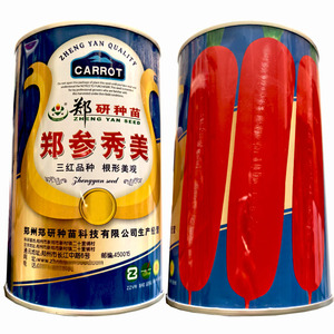 郑研种苗郑参秀美三红胡萝卜种子