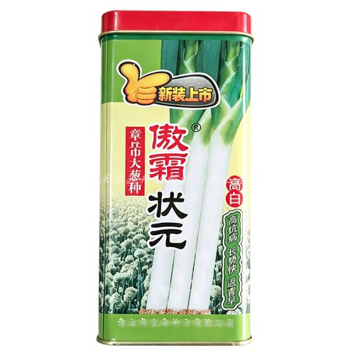 傲霜状元大葱种子章丘大梧桐200g抗病抗霜冻生长快葱白高葱白坚硬