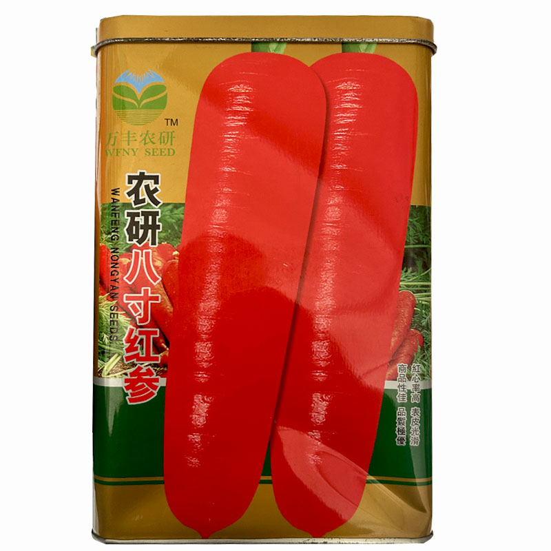 农研八寸红参胡萝卜种子中早熟