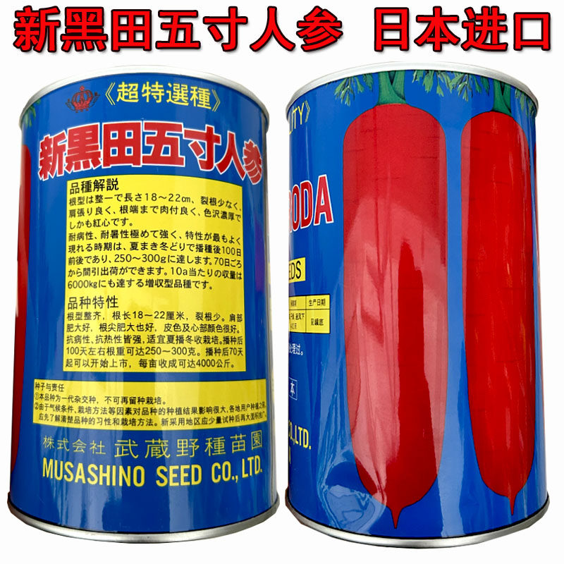 新黑田五寸人参胡萝卜种子抗病高