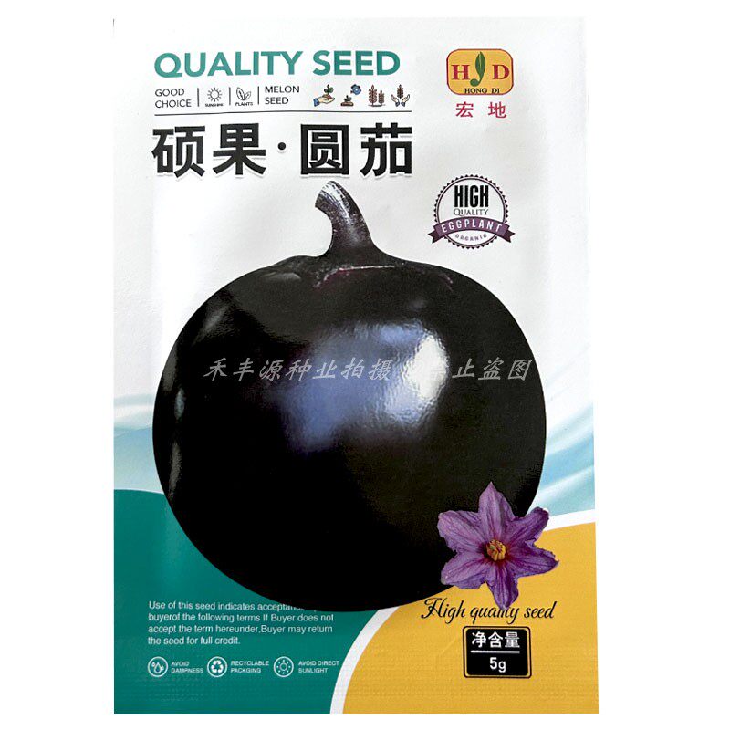 硕果圆茄种子中熟高产果实扁圆黑紫色圆茄肉白色细嫩春秋大田种植