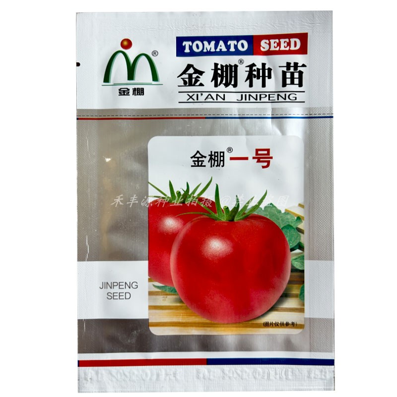 红果西红柿种子果肉厚果型均匀