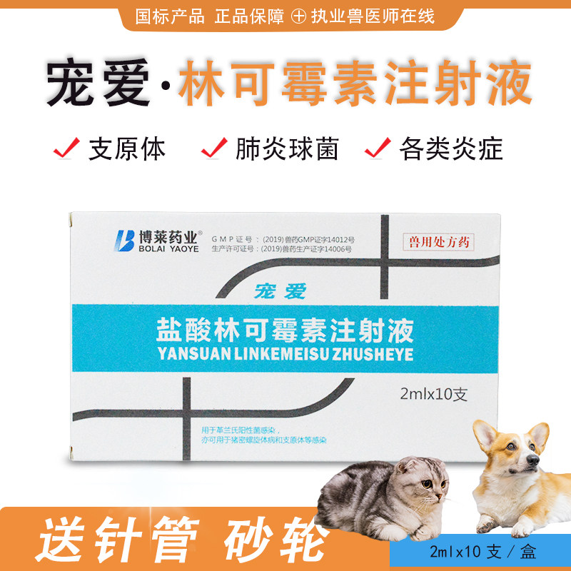 盐酸林可霉素宠爱兽用感冒肺炎支原体拉稀子宫炎链球菌犬瘟狗猫