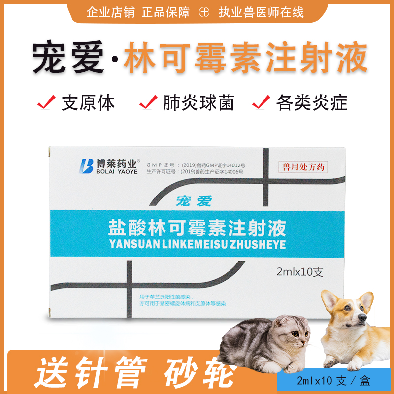 盐酸林可霉素宠爱兽用感冒肺炎支原体拉稀子宫炎链球菌犬瘟狗猫