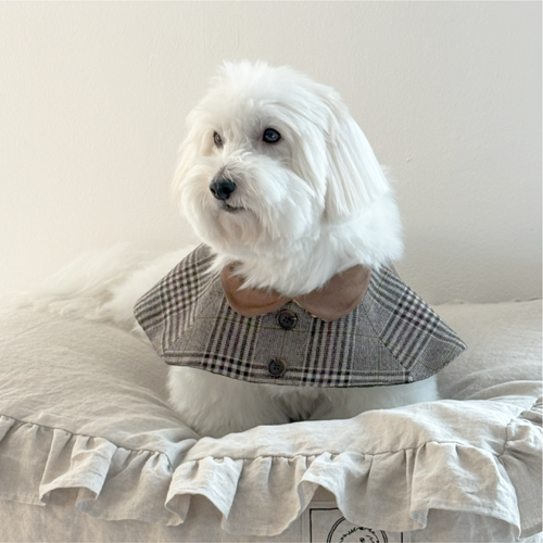 韩国代购HenrytheDog英伦风宠物斗篷格纹秋冬保暖狗狗棉服大衣