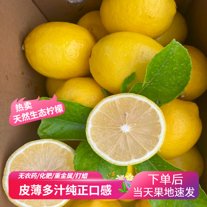 安岳土特产生态黄柠檬新鲜皮薄多汁野生拟有机水果母婴级当天直发