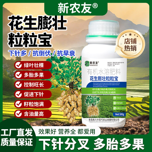 花生膨大粒粒宝满提苗壮颗