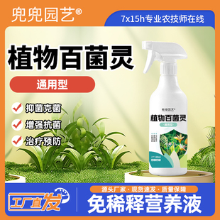 植物百菌灵预防病害植物果树蔬菜瓜果通用防治黑斑烂根软腐通用