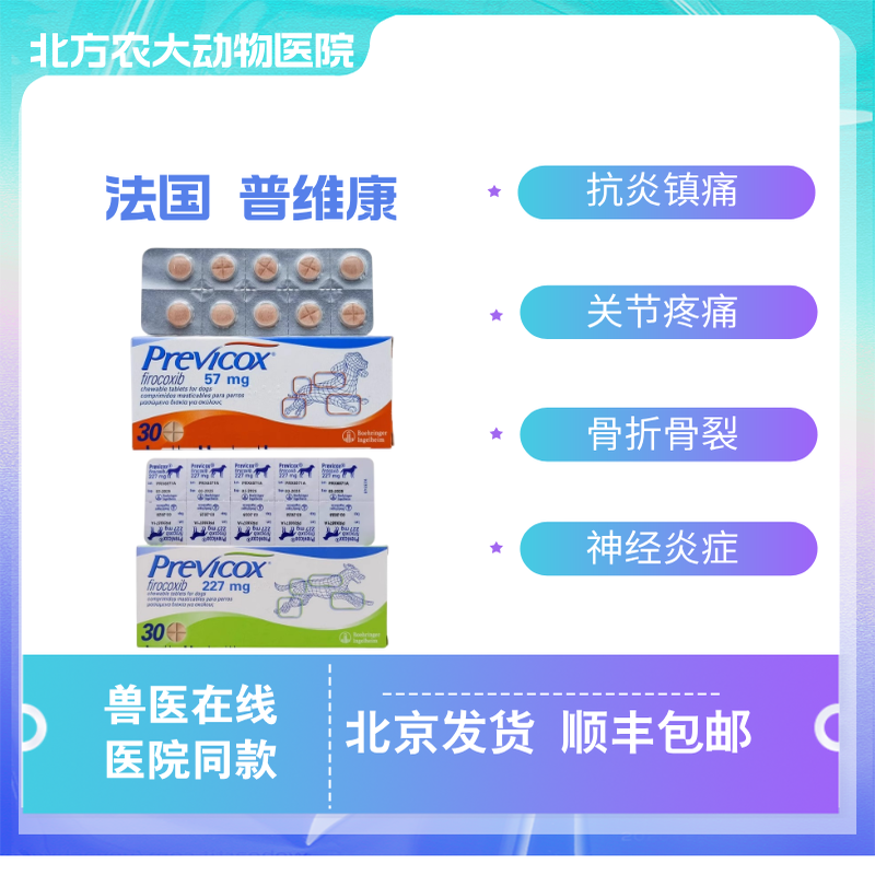 关节疼狗狗骨折关节止疼药强效