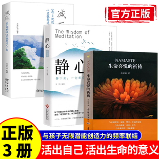 减压静心 心灵札记每日能量金句 生命喜悦 祈祷 3册沈妙瑜著祈祷文感想送给孩子 随书赠能量朗读小册 智慧正版