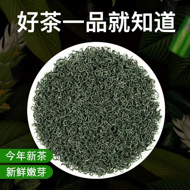 浓香耐泡新茶崂山绿茶山东特级