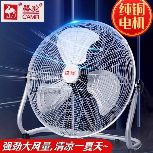 骆驼牌趴地扇【铜芯电机】大风量