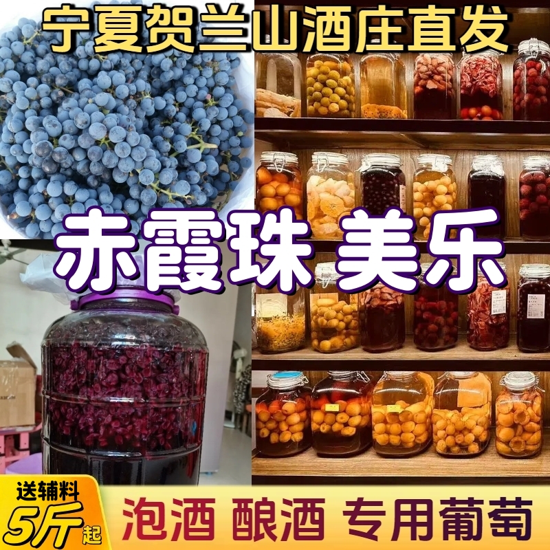酿酒专用葡萄新鲜赤霞珠葡萄自酿泡酒酿酒葡萄宁夏产区5斤起包邮