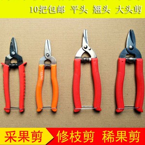 橘剪刀 剪钳 修果修枝桔子剪采摘剪 名钻农帮手不锈钢采果剪包邮
