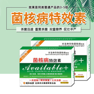 菌核病特效素农药杀菌剂 向日葵菌核病番茄菌核病专用药 北美农大
