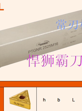 悍狮霸刀杆 数控刀杆 PTGNR/L1616H16 2020K16 2525M16 3232P16
