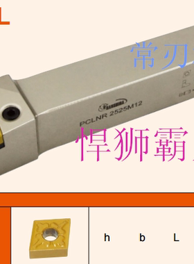 悍狮霸刀杆 数控刀杆 PCLNR/L 1616H12 2020K12 2525M12 3232P12