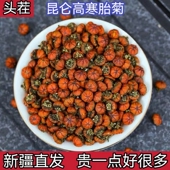 野生昆仑雪菊胎菊高海拔冰山上农产品和田克里阳血菊新疆特产 包邮