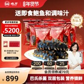 大连海参 晓芹海参1500g即食35 50只 辽刺参海鲜水产