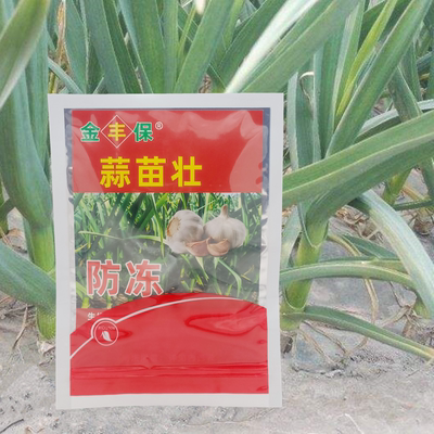 蒜苗壮大蒜生根壮苗剂防死苗烂根专用药大蒜防冻剂金丰保牌蒜苗壮