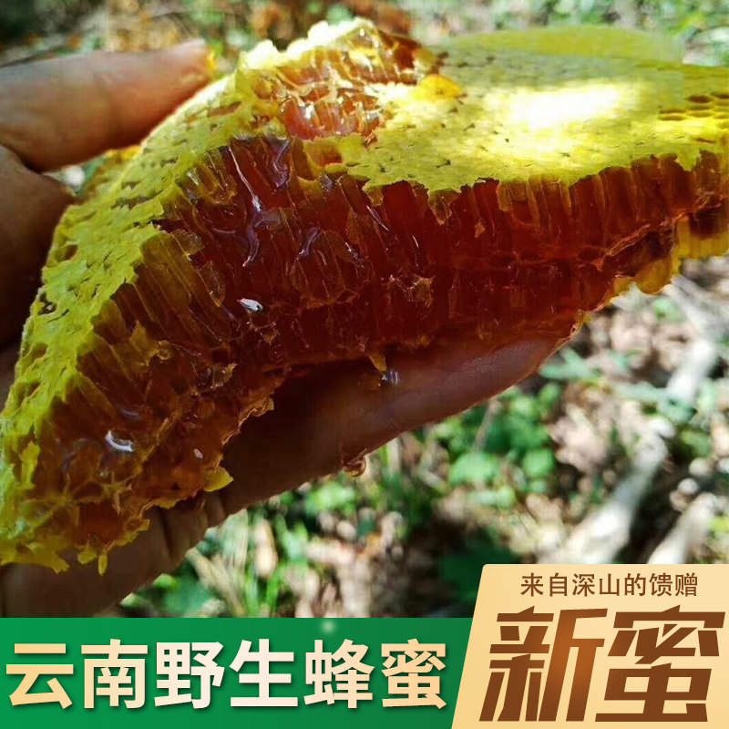 云南野生蜂蜜土蜂蜜纯正天然树洞蜜深山农家自产原始土法割蜜包邮