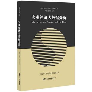 宏观经济大数据分析 于施洋 王建冬 社会科学文献出版 包邮 易成岐 社 正版