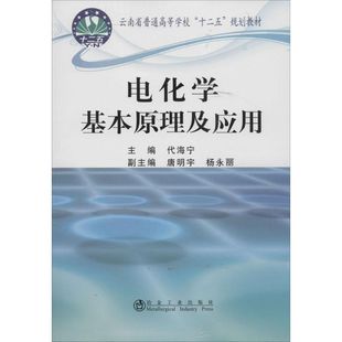 包邮 代海宁 冶金工业出版 社 正版 电化学基本原理及应用