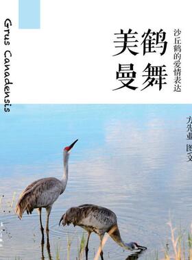 【正版包邮】 美鹤曼舞　沙丘鹤的爱情表达 方先业 著 漓江出版社有限公司