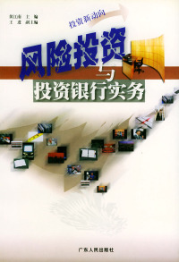 【正版包邮】 风险投资与投资银行实务 黄江南 广东人民出版社