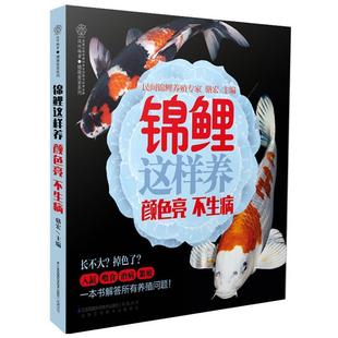 锦鲤这样养颜色亮 包邮 不生病 骆宏 社 江苏科学技术出版 正版