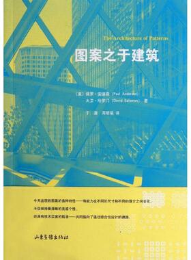 【正版包邮】 图案之于建筑 保罗·安德森 (Paul Andersen) 山东画报出版社