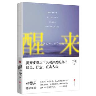 【正版包邮】 醒来:凡真实的,必会相遇 丁锐 北京联合出版公司出版社