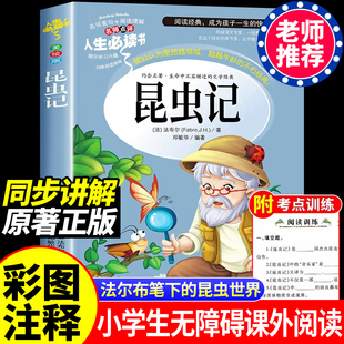 昆虫记正版三年级必读课外书法布尔原著完整版全集小学生四年级经典名著书目美绘版五六年级青少年儿童老师推荐阅读山东美术出版社