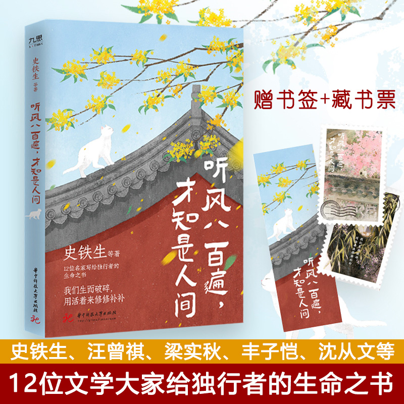 听风八百遍才知是人间