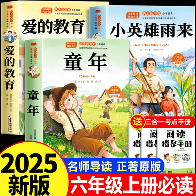 2025新小英雄雨来爱的教育童年