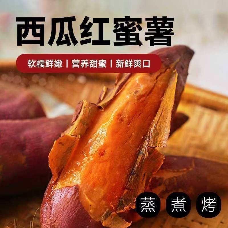 河南好吃新鲜的沙地密薯西瓜红红薯产地直销香甜软糯【坏果包赔】