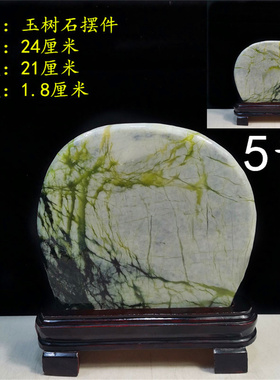 玉树石天然原石招财客厅发财石头